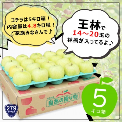 りんご 王林 4月から順次発送! A品 4.8kg (14～20玉) CA貯蔵 津軽産直組合直送【配送不可地域：離島】