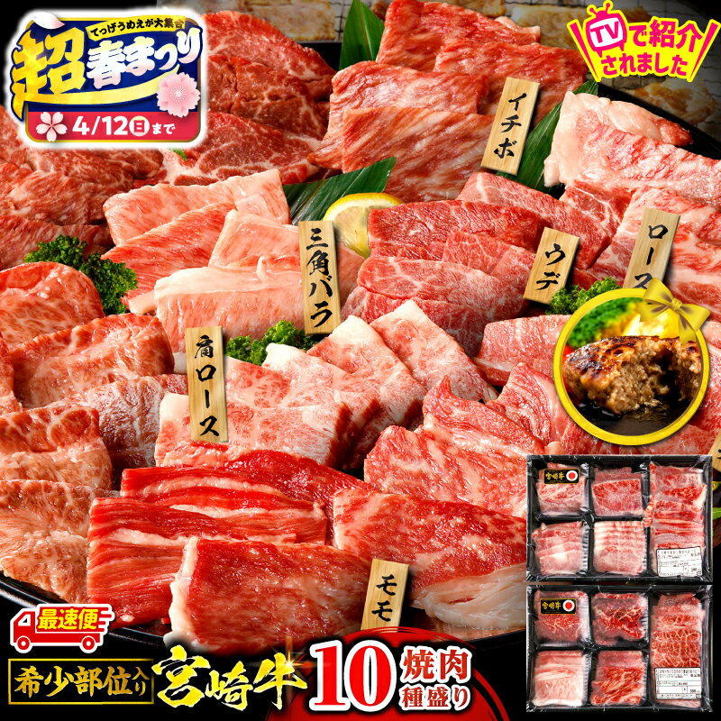 【ふるさと納税】テレビで紹介されました！【超！春まつり 生活応援・大感謝規格】【発送時期が選べる】畜産農家応援！宮崎牛 焼肉 10種 盛り合わせ 国産牛ハンバーグ 100g×2個 牛肉 肉 お肉 赤身 赤身肉 精肉 焼肉 セット 牛 国産牛 BBQ 焼肉セット ギフト 小分け 宮崎市