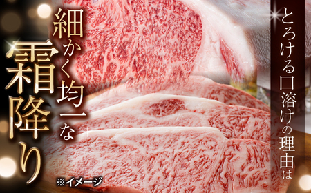 長崎和牛 サーロイン ステーキ 約1kg（5枚）＜大西海ファーム食肉加工センター＞[CEK193]