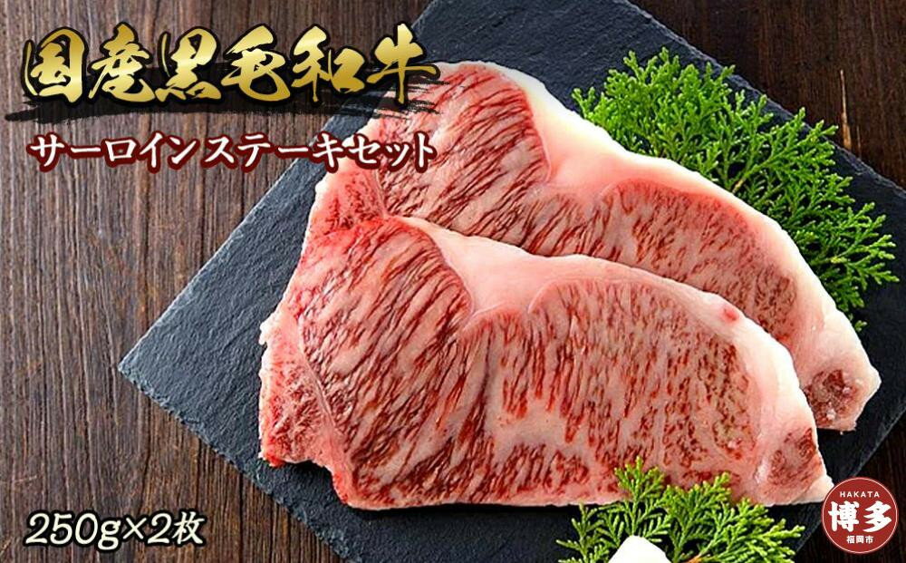 【ふるさと納税】博多和牛サーロインステーキセット 500g（250g×2枚）