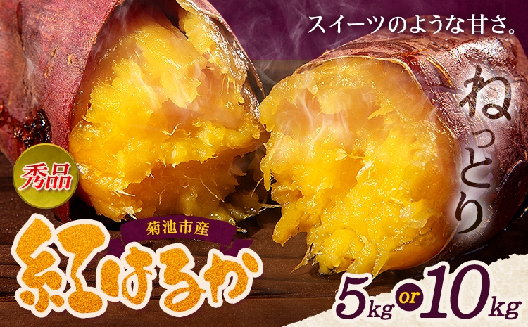 
                  秀品 紅はるか 選べる内容量 約5kg 約10kg S～2L混合 株式会社Foody’s 《90日以内に発送予定（土日祝を除く）》熊本県 菊池市 さつまいも 芋 紅蜜芋 焼き芋 野菜 菊池市産 熊本県産 九州産
                