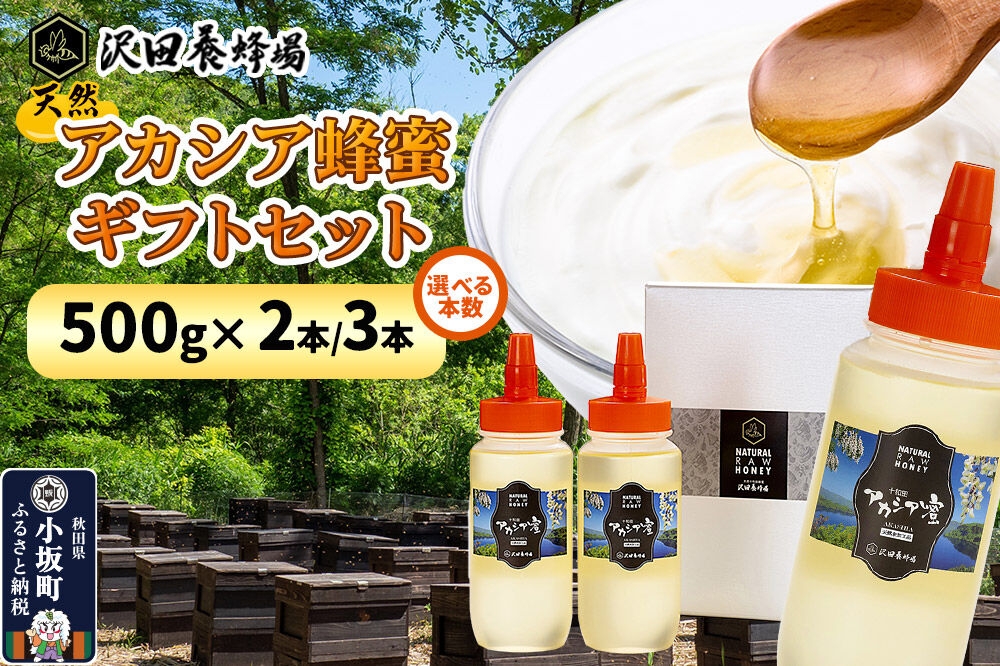 
                  《先行受付》【新蜜】はちみつ 天然十和田 アカシア蜂蜜 ギフトセット 500g【選べる本数 2本セット／ 3本セット】 [新蜜 国産 蜂蜜 はちみつ ハチミツ アカシア ギフト 贈答 朝食 沢田養蜂場]
                
