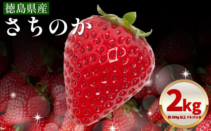 いちご 2kg さちのか 苺 イチゴ ストロベリー 数量限定 徳島県産 ichigo strawberry itigo 1月下旬より順次出荷 徳島県