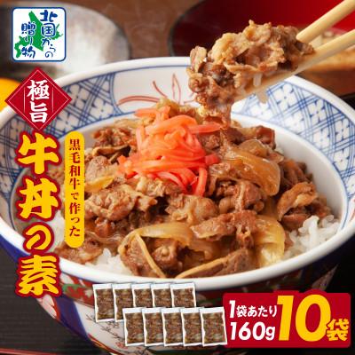 ふるさと納税 泉佐野市 美味しくなってリニューアル!【黒毛和牛】で作った極旨牛丼の素(160g×10袋)020C401