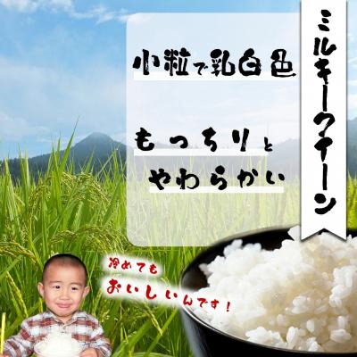 ふるさと納税 大館市 【令和7年産】ファームとのせ「ミルキークイーン精米5kg(5kg×1袋)」 |  | 02