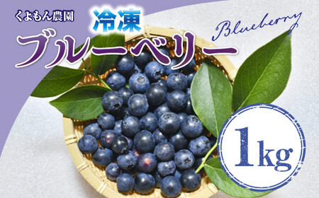 くよもん農園 冷凍 ブルーベリー 1kg　AG01