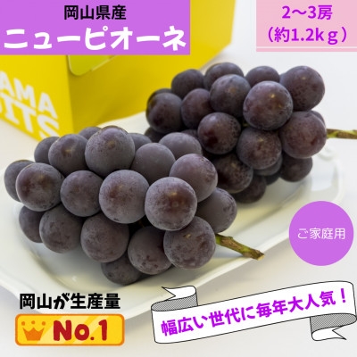 
                  ＜2026年発送＞ご家庭用　岡山県産ニューピオーネ(クール便)　約1.2kg(2～3房)【1614322】
                