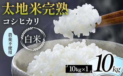 2024年産 農薬不使用 太地米完熟 【こしひかり】 白米 10kg ブランド米 お米 精米 白米 人気 F7X-0330
