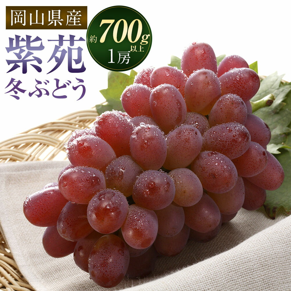 【ふるさと納税】冬 ぶどう 2026年 先行予約 紫苑 1房 700g以上 環山堂 岡山県 ブドウ 葡萄 種なし くだもの 果物 果実 フルーツ 環山堂 冷蔵 岡山県産 国産 岡山県 奈義町 送料無料 【2026年10月下旬～11月下旬 発送予定】