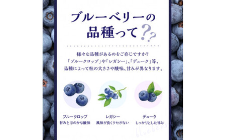 【2024年7月25日以降発送】青果ブルーベリーおまかせ２品種食べ比べセット1kg（250g×4パック）＜アイケイファーム余市＞_Y111-0002