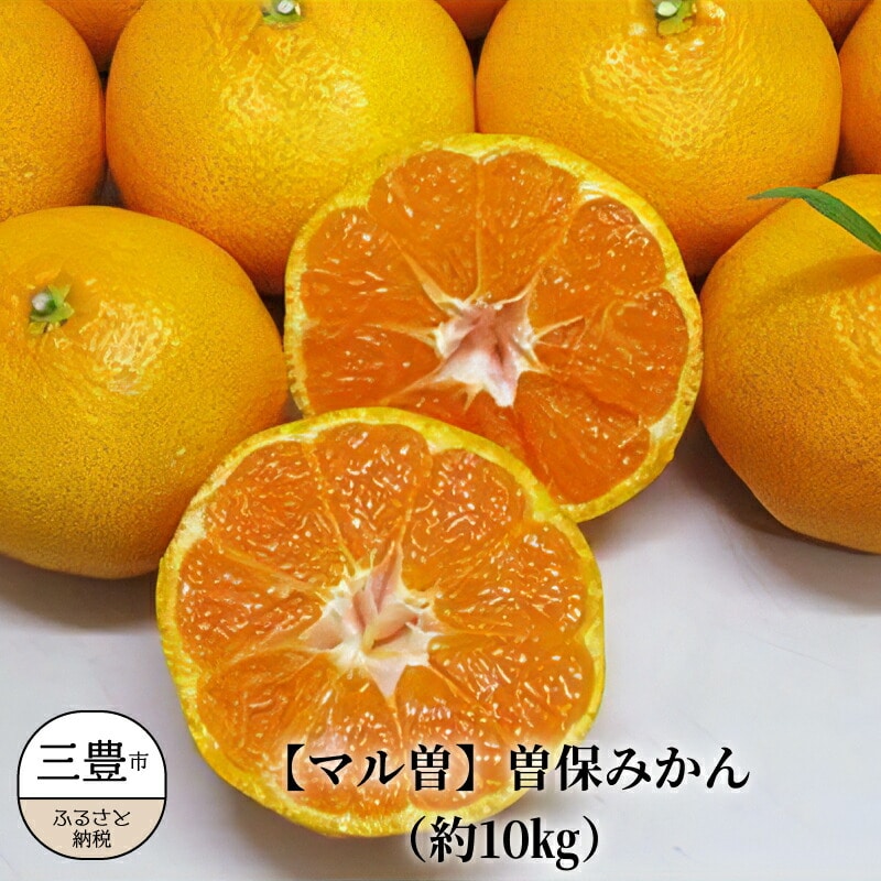 【マル曽】曽保みかん(約10kg)