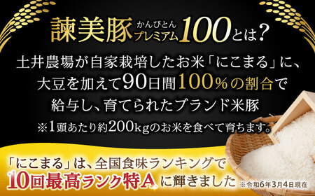 『定期便』_諫早平野の米で育てた諫美豚プレミアム100お勧めセット3kg_全12回