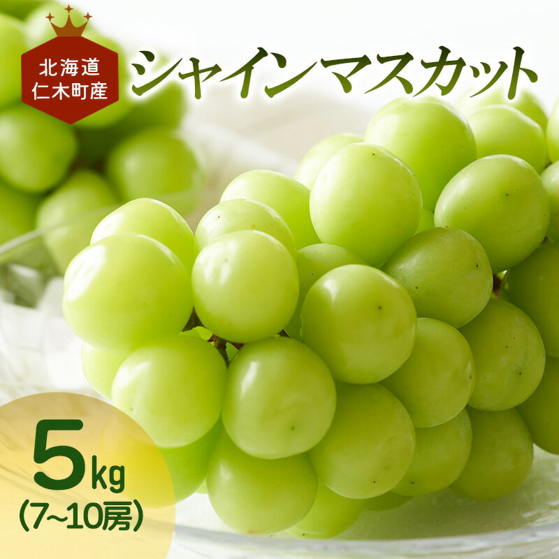 【ふるさと納税】[先行受付] 北海道 仁木町産 シャインマスカット 7～10房 5kg 果物 ぶどう フルーツ 果物類 ブドウ マスカット [JA新おたる]　お届け：2025年10月10日～11月25日まで