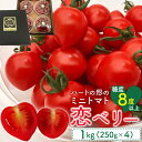 【ふるさと納税】秋田県産ミニトマト「恋ベリー」 1kgギフトBOX | 野菜 やさい 食品 ギフト 人気 おすすめ 送料無料 トマト とまと プチトマト 夏野菜 新鮮 旬 旬野菜 お取り寄せ サラダ ジュース お弁当 甘い 美容 家庭用 自宅用 産地直送 農家直送