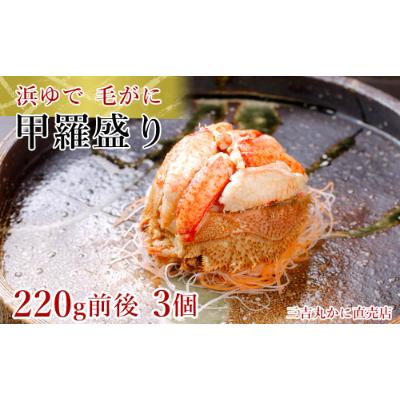 ふるさと納税 白老町 【浜ゆで】北海道産毛ガニ甲羅盛り3個(220g前後3個) |  | 01