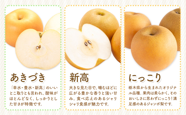 先行予約 旬の梨 約8kg 幸水 豊水 あきづき 新高 にっこり《8月上旬-10月中旬頃出荷予定》 栃木県 野木町 なし ナシ くだもの 果物 青果物 フルーツ
