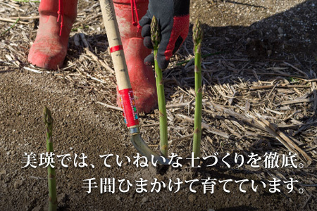 【令和8年産先行予約】 アスパラガス Lサイズ 2kg アスパラガス  [024-59]