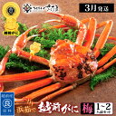 【ふるさと納税】浜茹で 越前がに≪梅セット≫1〜2人前 かに酢 食べ方しおり スプーン付き【雄 ズワイガニ ずわいがに 姿 ボイル 福井県】【選べる杯数！1〜2杯】【3月発送分】希望日指定可 備考欄に希望日をご記入ください [e04-x009_03]