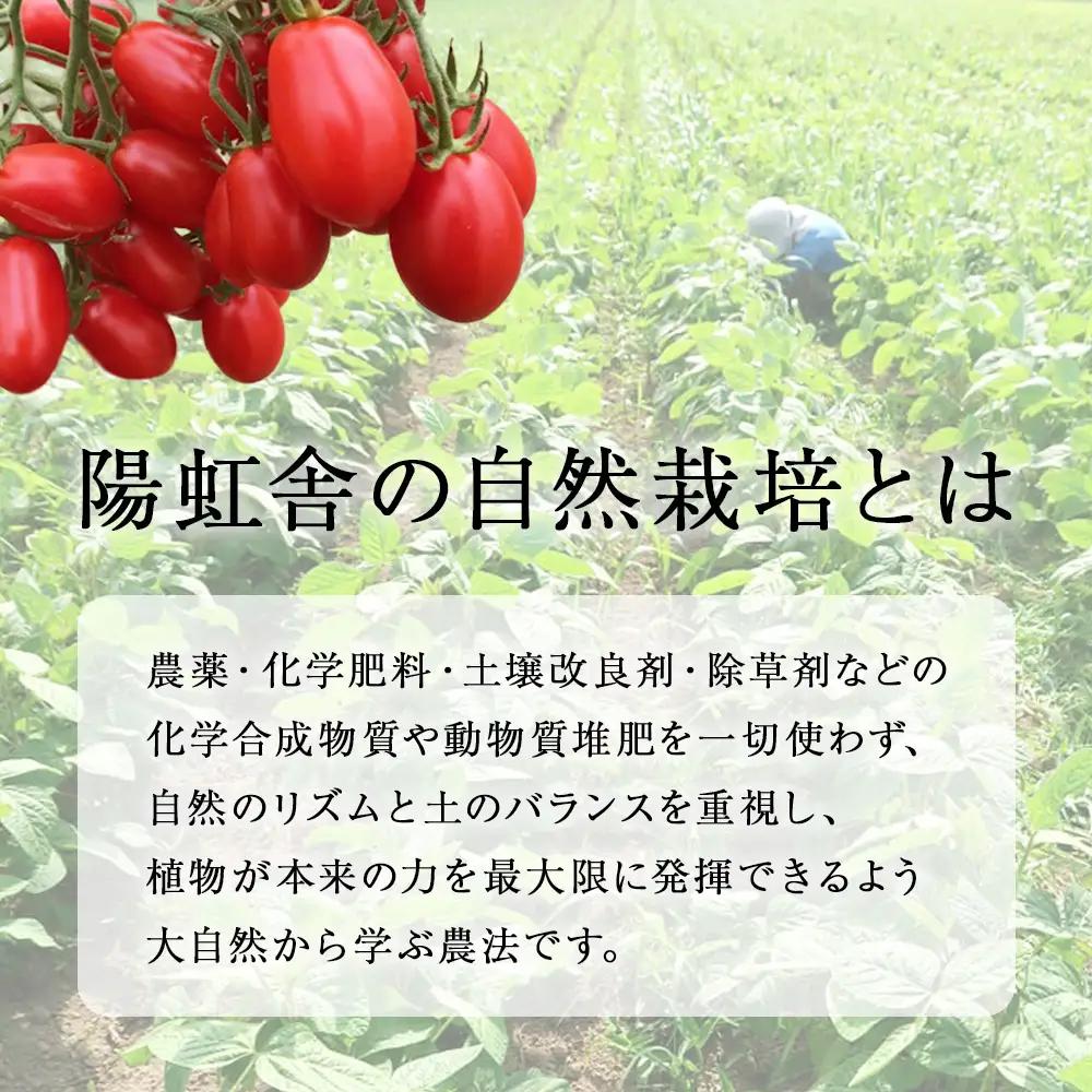 自然栽培 トマト でつくった 「トマトジュース」500ml×4本