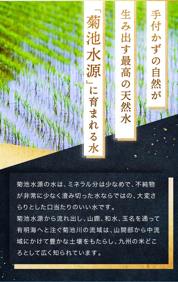 【 定期便 6回 】 熊本県産 白米 森のくまさん 10kg