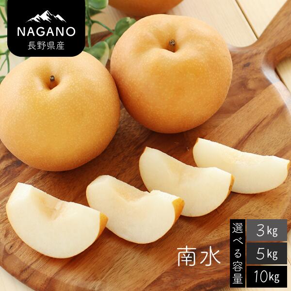 【ふるさと納税】梨 南水（長野県産秀品）約3kg・約5kg・約10kg ／9月中旬～10月中旬頃配送予定// 長野県 南信州 ギフト 贈答 和梨 なし ナシ お取り寄せ 果物 フルーツ 甘い 3kg 5kg 10kg MS06 MS07 MS08