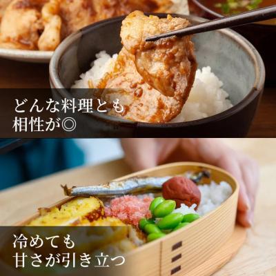ふるさと納税 八頭町 鳥取県産 きぬむすめ 令和7年産 精米済 10kg(5kg×2袋) |  | 03
