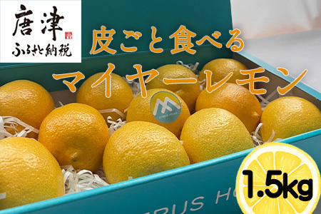 『先行予約』【令和8年11月より順次発送】皮ごと食べる マイヤーレモン 1.5kg  唐津産 柑橘 レモン れもん 檸檬