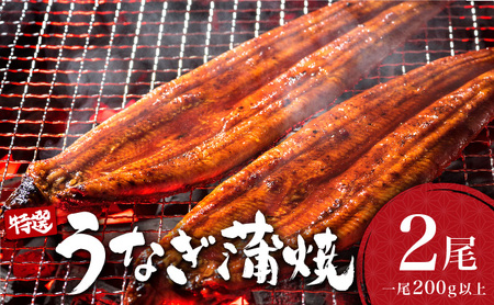 うなぎ蒲焼き 400g(200g×2尾) うなぎ 蒲焼 土用の丑の日