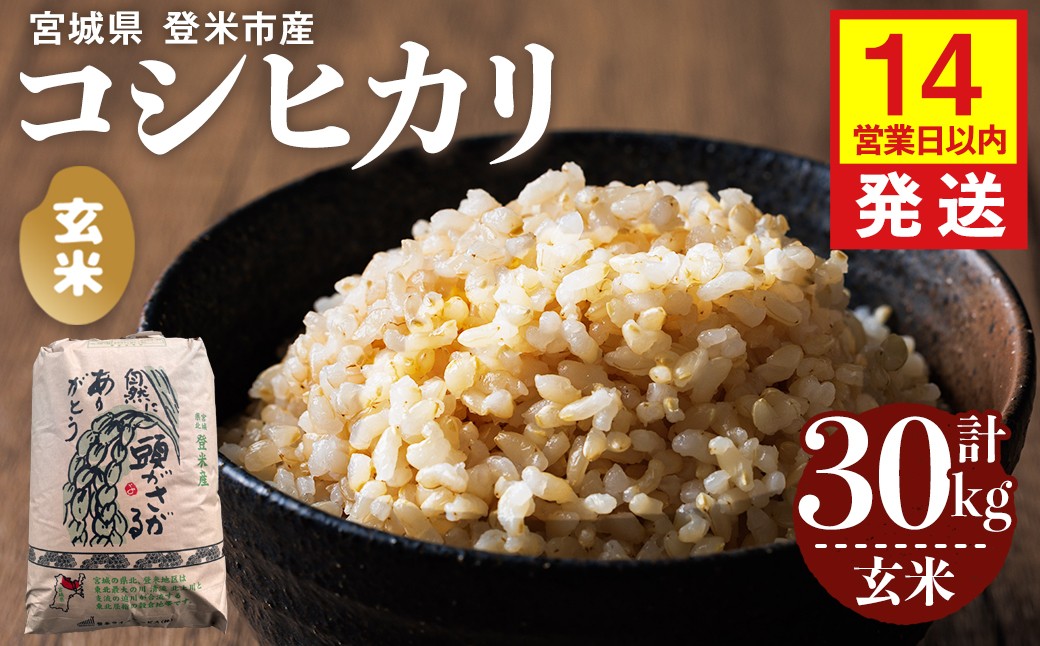 
                  【14営業日以内に発送予定】≪令和7年産≫ コシヒカリ 玄米 30kg×1袋 登米市産 お米 おこめ 米 コメ こしひかり ご飯 ごはん おにぎり お弁当 【登米ライスサービス株式会社】tm726
                