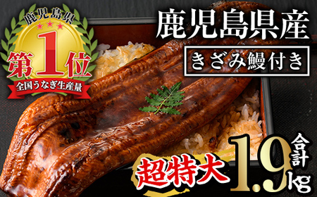 鹿児島県産うなぎ蒲焼きざみセット＜超特大＞(約200g×7尾・きざみ50g×10袋) タレ・山椒付き【西日本養鰻】D12-v01