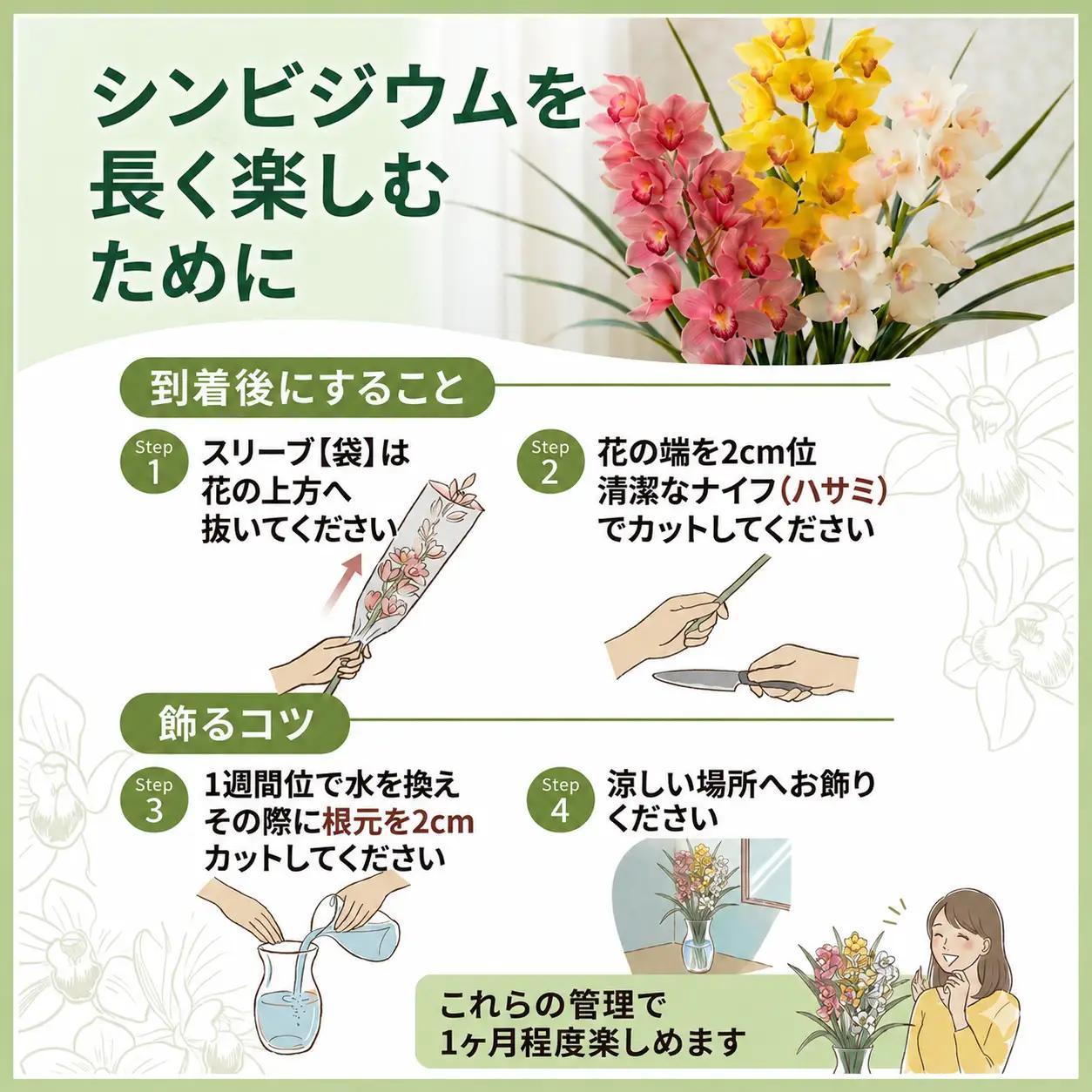 【2026年11月順次発送】 洋蘭 シンビジウム 8～10本 生花 お花 花 シンビジューム 秀品 徳島県 小松島市