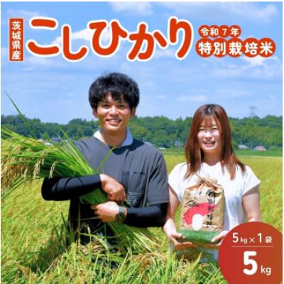 ふるさと納税 龍ケ崎市 【令和7年産】龍ケ崎の特別栽培米コシヒカリ 5kg(5kg×1袋)
