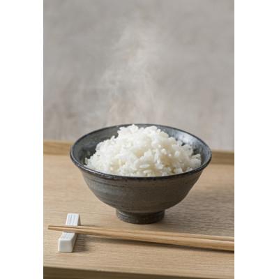 ふるさと納税 大網白里市 本腰米(白)10kg 特Aコシヒカリ(精米) |  | 01