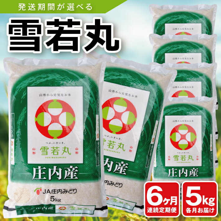 【ふるさと納税】≪6ヶ月定期便≫ 雪若丸 5kg×6ヶ月連続 計30kg 山形県庄内産 ご希望期間の毎月下旬頃にお届け JA 農協 産地直送 精米 白米 庄内米 東北 遊佐町 ブランド米