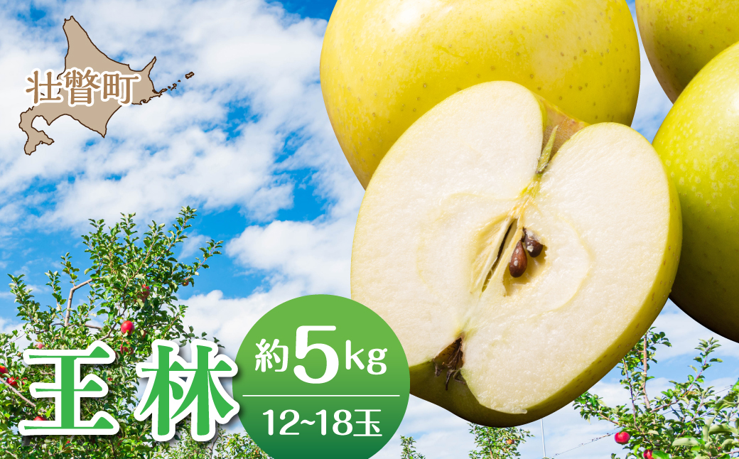【先行予約】＜2026年11月中旬よりお届け＞北海道壮瞥町　りんご　品種名「王林」12～18玉約5kg SBTF025