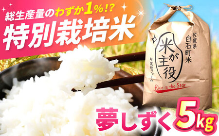 【2025/11発送】令和7年産夢しずく5kg / 白米 白米 白米 白米 白米[IBV003]