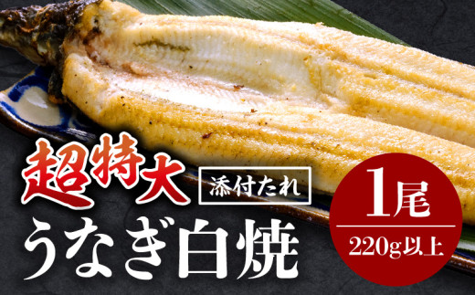 《2025年7月発送予定》うなぎ白焼(超特大サイズ) 1尾_M069-025-jul