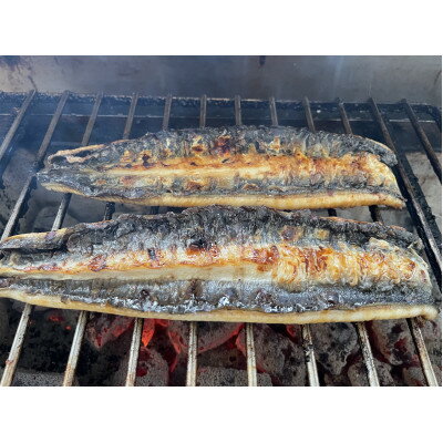 【ふるさと納税】【国産うなぎ】通常サイズ120g-140g　三河一色産　10尾　炭火蒲焼き(タレ付き)【配送不可地域：離島】【1659375】