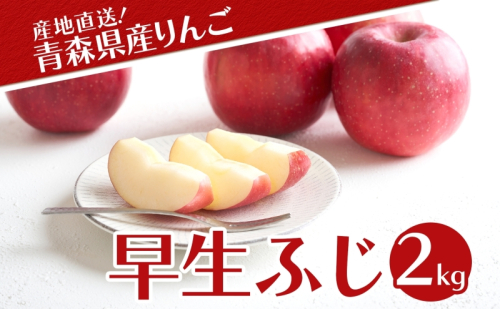 青森県産 りんご 早生ふじ 2kg 青森 リンゴ 林檎 早生 ふじ 果汁 果物 フルーツ アップル 新鮮 おやつ デザート プレゼント 贈り物 お取り寄せ 常温 送料無料 青森県 西目屋村