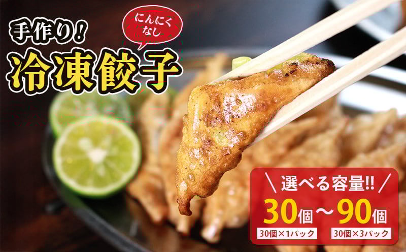 
            冷凍餃子 選べる単品 にんにくなし ( 30個×1p 2p 3p )  餃子 セット ぎょうざ ギョウザ にんにく 不使用 肉 お肉 豚肉 豚 鶏肉 鳥 おつまみ 加工品 肉汁 惣菜 お弁当 冷凍ストック 寺岡商店 香川県 丸亀市
          