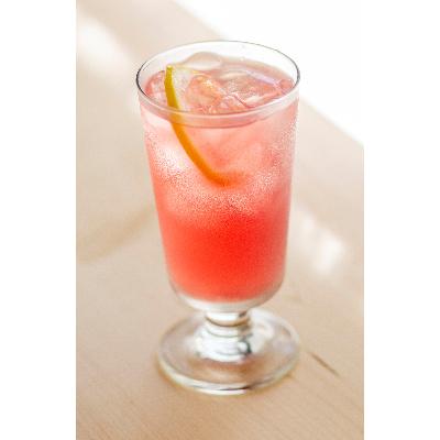 ふるさと納税 大津町 (色が変化するお茶)日本茶サンルージュ ティーバッグ 5袋セット (新品種) |  | 03