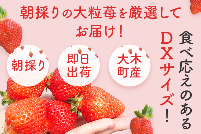 《先行予約》あまおう 約270g×2パック おすすめ 福岡県 大木町 BO003 【2026年12月下旬～2027年4月末頃にかけて順次出荷予定】いちご フルーツ 苺