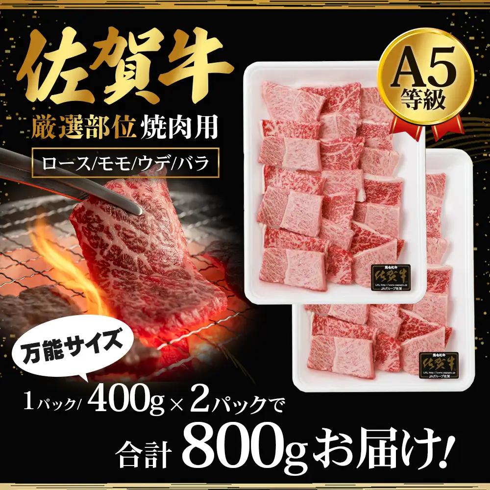 A5等級 佐賀牛 焼肉用 800g(400g×2P)【厳選部位】佐賀牛ロース 佐賀牛モモ 佐賀牛ウデ 佐賀牛バラ【美味しい佐賀牛を贅沢に】佐賀牛のうま味 D-183