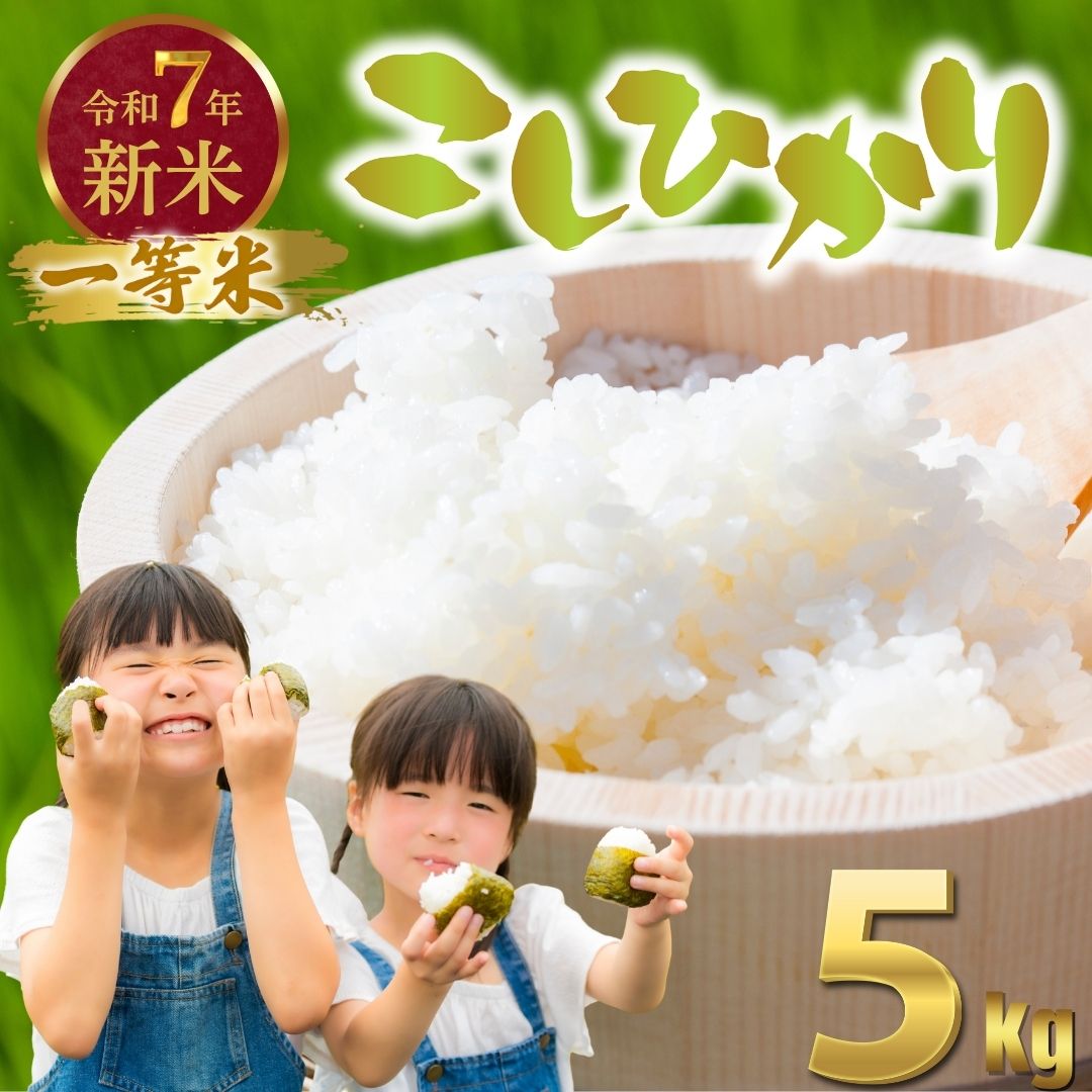 【ふるさと納税】令和7年度新米 広島県産米 コシヒカリ 5kg 一等米 精米【 米 お米 新米 広島県産 おむすび ごはん ゴハン こめ コメ おにぎり 国産】