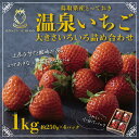 【ふるさと納税】1173 鳥取県産とっておき「温泉いちご」大きさいろいろ詰め合わせ 1キロ　送料無料　苺