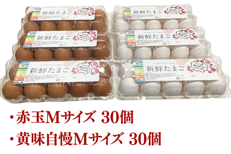 【数量限定】赤玉・黄味自慢 たまご詰め合わせ60個【卵 玉子 タマゴ 新鮮 タンパク質 目玉焼き 茨城県 水戸市】（LB-1）