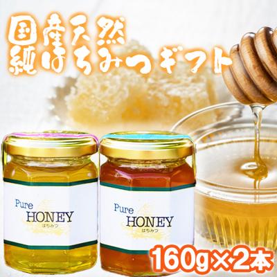 ふるさと納税 小郡市 はちみつ 化粧箱入り 160g×2本セット さくら&amp;やまみつ ギフト [No5354-0326]
