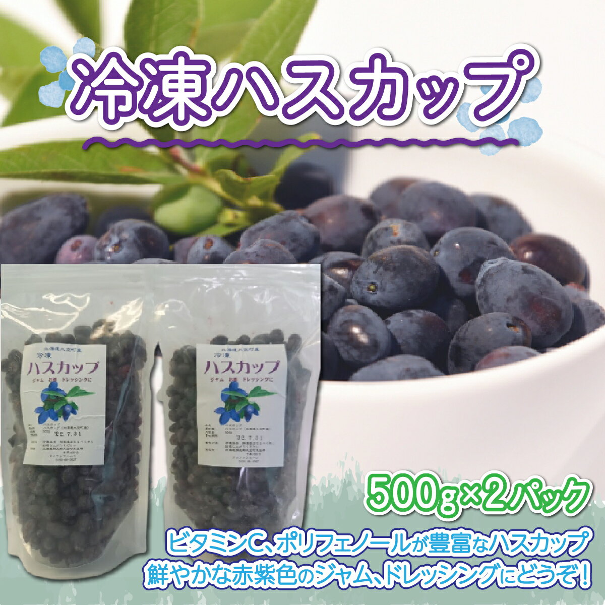 【ふるさと納税】 冷凍ハスカップ500g×2パック 【 ふるさと納税 ハスカップ 果実 果物 フルーツ ヨーグルト ジャム スムージー 冷凍 北海道 大空町 送料無料 】 OSO001