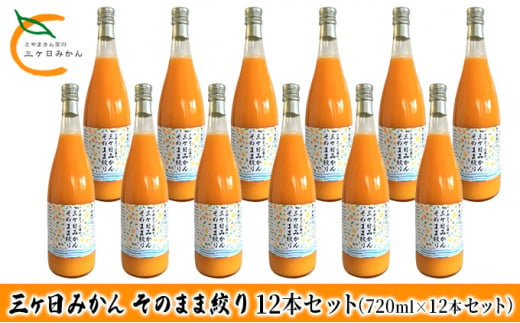 三ヶ日みかん そのまま絞り 12本セット（720ml×12本セット） みかん ジュース 100%[№5786-5297]