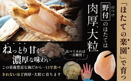 毎月4ヶ月定期便 北海道 野付産 冷凍 ホタテ 貝柱 ジャンボ ホタテ 500g （ ほたて ホタテ 帆立 貝柱 ホタテ貝柱 北海道 野付 大粒 ）